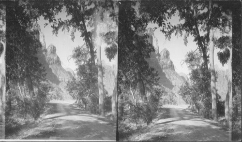 Lady Mountain From Highway. Zion National Park. Utah