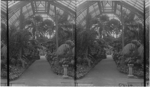 Conservatory - Washington Park, Chicago