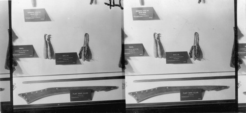 Flat War Club- The thin cane is a ceremonial cane- Objects above are balls used in woman's Shinny Game. Field Museum, Chicago, Ill