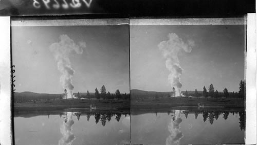 Old Faithful Geyser and Reflection. Yellowstone Natl. Park. Wyoming