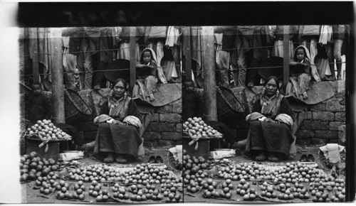 Guava- sellers - Darjeeling - India