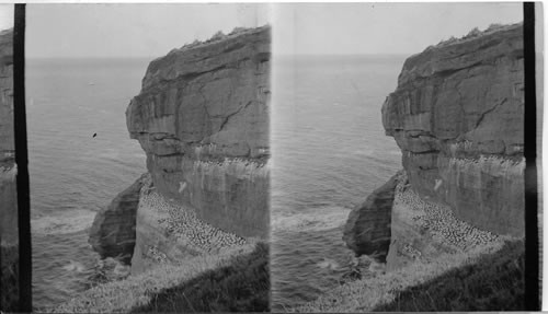 Perce Rocks and Bay. Perce. Quebec - Canada