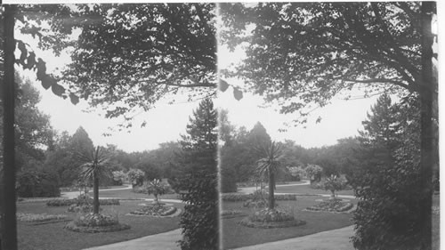 Flower Beds, Public Gardens, Halifax, N.S. Can