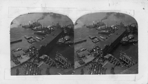 Byrd Escort Fleet, Battery Park, New York City, June 19 - 30