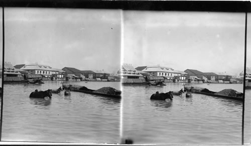 At the mouth of the Pasig River. Manila. P.I