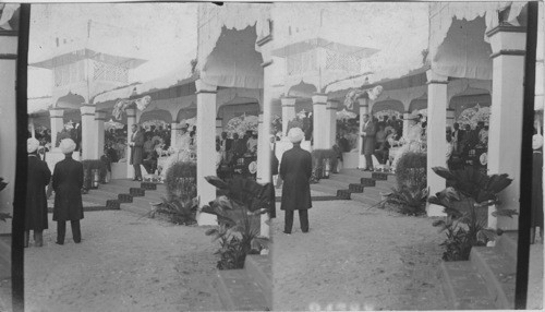 H.R.H., the Prince of Wales, replying to address of Sir Lawrence Jenkins - laying of foundation stone of New Musem. Bombay, India