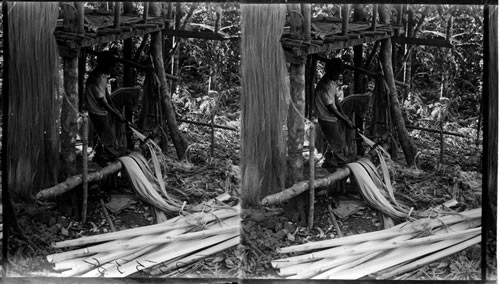 Cleaning Hemp, Philippines