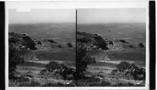 Rock of Elijah’s Altar on Mt. Carmel. Palestine