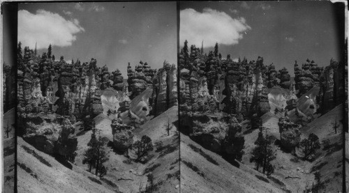 Filigreed Wall of Queens Garden. Bryce Canyon. Utah