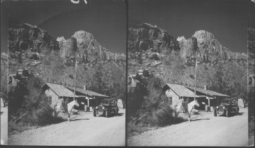From Highway looking a little west of north to Ranger Station and Sentinel Park. Zion Nat'l Park, Utah. This is too harsh & contrast a print. - Softer paper would make it entirely different
