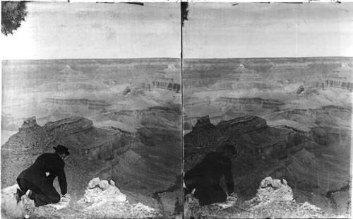 North from El Tovar. Grand Canyon. Arizona. Dup KU67163