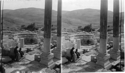 Samaria’s magnificent basilica with altar at fartherend, seen from S. W. Palestine