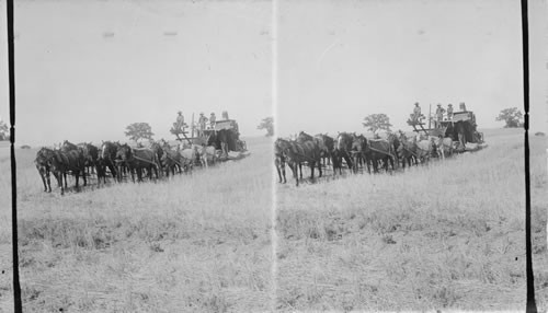 Harvesting. Washington