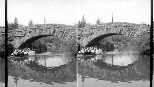 Bridge Near 59th Street. Central Park. N.Y