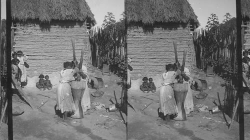 Women pounding corn for bread in the yard of a Barranquilla home. Columbia. S.A