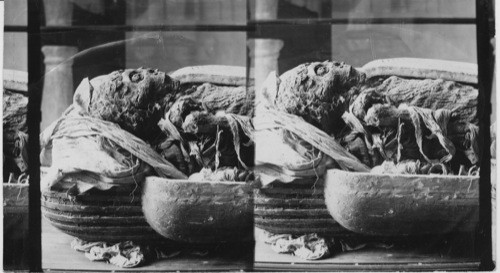 Mummy of King Nibpehtiri, Aahmes I Gizeh Museum, Cairo, Egypt