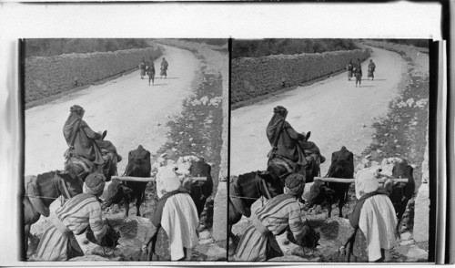 A well on road between Bethlehem and Jerusalem, Palestine