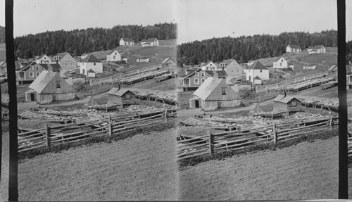 Sanquenay River - Fish Industry - Quebec, Canada