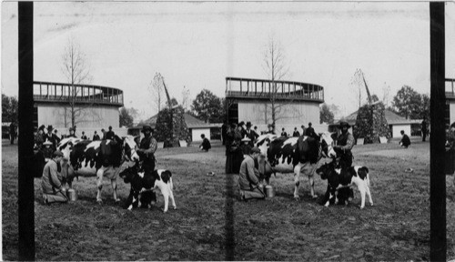 Cadet at the Atlanta Exposition, Georgia