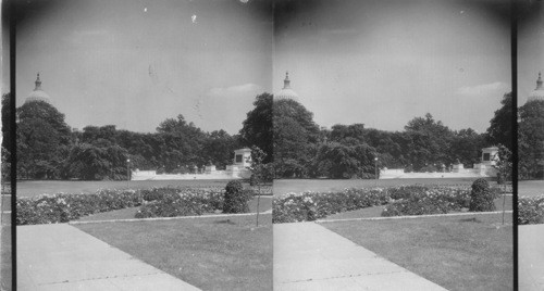 Gen. Grant Monument and Dome of Capitol, Wash., D.C