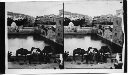 The King’s Pool. Ancient Reservoir in Heart of Hebron, Palestine