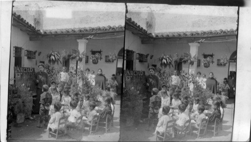 A.B.C. in Spanish - flowers birds and little folks at a primary school. Veracruz. Jalapa. Mexico