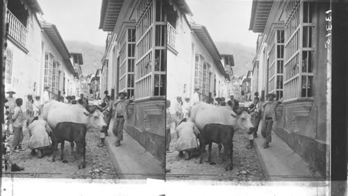 In the narrow streets of La Guaira, Venezuela