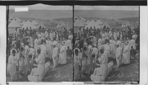 The Passover as celebrated today by the Samaritan, Mt. Gerizin, Palestine