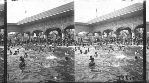 (Rec'd from Press Illustrating Service). Coney Island (?)