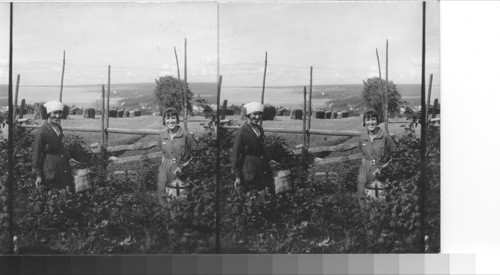 Rättvik, Sweden. Berry pickers. 1931 costumes