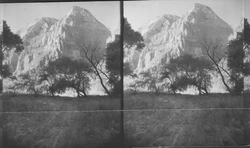 Looking S.W. to Lady Mt/ at right. Elk Mt. at Left. Zion National Park. Utah. See 47286