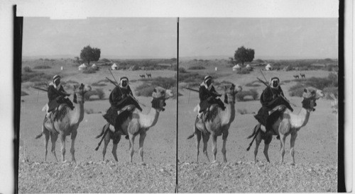 In the heart of the Arabah; caravan going north between Petra and Dead Sea. Palestine