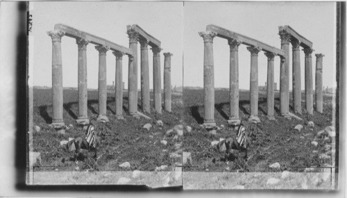 N. W. Jerash - (N. side of Colonnade Street) Palestine