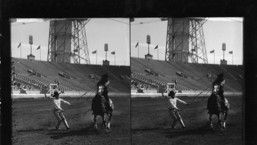 A Roping Event, World's Fair, Rodeo, A Century of Progress, Chicago, 1933