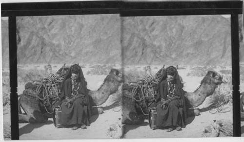 Bedowin Woman and Camel, Arabia