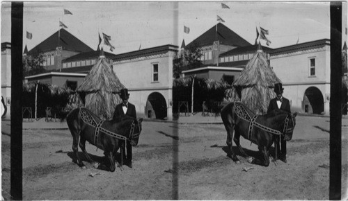 Obedience. Atlanta Exposition. Georgia