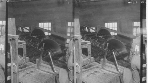 Bucking Off Saws, Canada Pulp Wood Co., Fort William