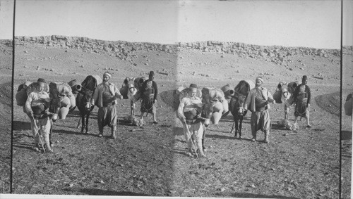 Donkeys Loaded with water jars on a Desert Road Bibical Asia Minor