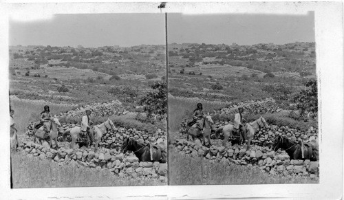 Approaching Bethel. Palestine