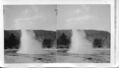 Jewel Geyser in Eruption, Biscuit Basin, Yellowstone National Park