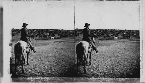 Roundup on the Sherman Ranch, Kansas