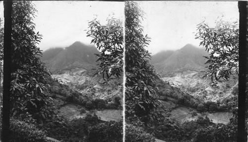 Font St. Denis or "Valley of the Two Cabbages" just over the hill from the awful Pelee, Martinique, F.W.I