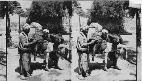 Water Carriers, Cairo, Egypt