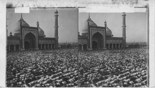 Mohammedans Prostrate at Prayer Time in Delhi, India