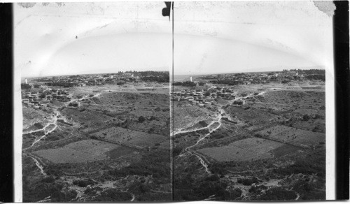 Modern Beth Shean from ancient citadel where bodies of Saul and Jonathan where hung, Palestine