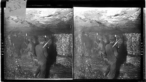 Digging coal half mile underground (view 4 ft. thick) Starkville, Colo