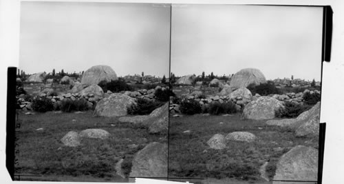 Glacial Boulders, Cape Ann, Massachusetts