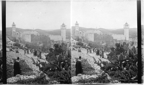 Mosque Machpelah- Hebron. Palestine