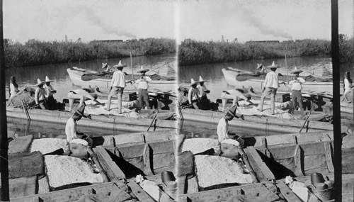 Market Boats at Tampico, Mexico