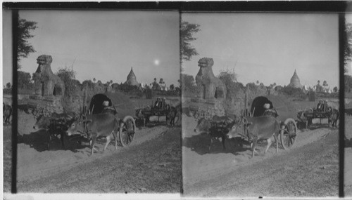 Picturesque Road to Pagan, Lined with Ruins of Pagodas and Carved Images, Burma